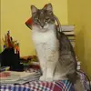 Отзыв от Лена Куприянова